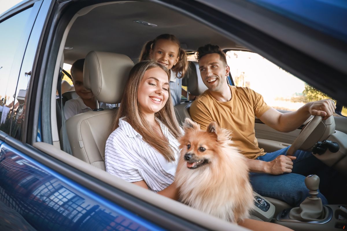 locais para viajar com cachorro 2
